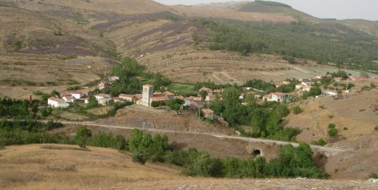 SE VENDE CAPITAL RUSTICO DE 46.000 M2 DE TERRENO EN  LA ERCINA. LEON